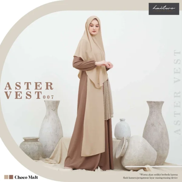 HAITWO ASTER VEST 007 CHOCO MALT M